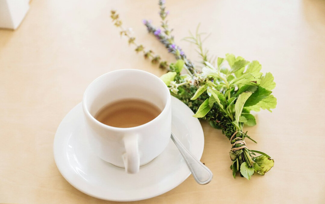 herbal tea cup with herbs