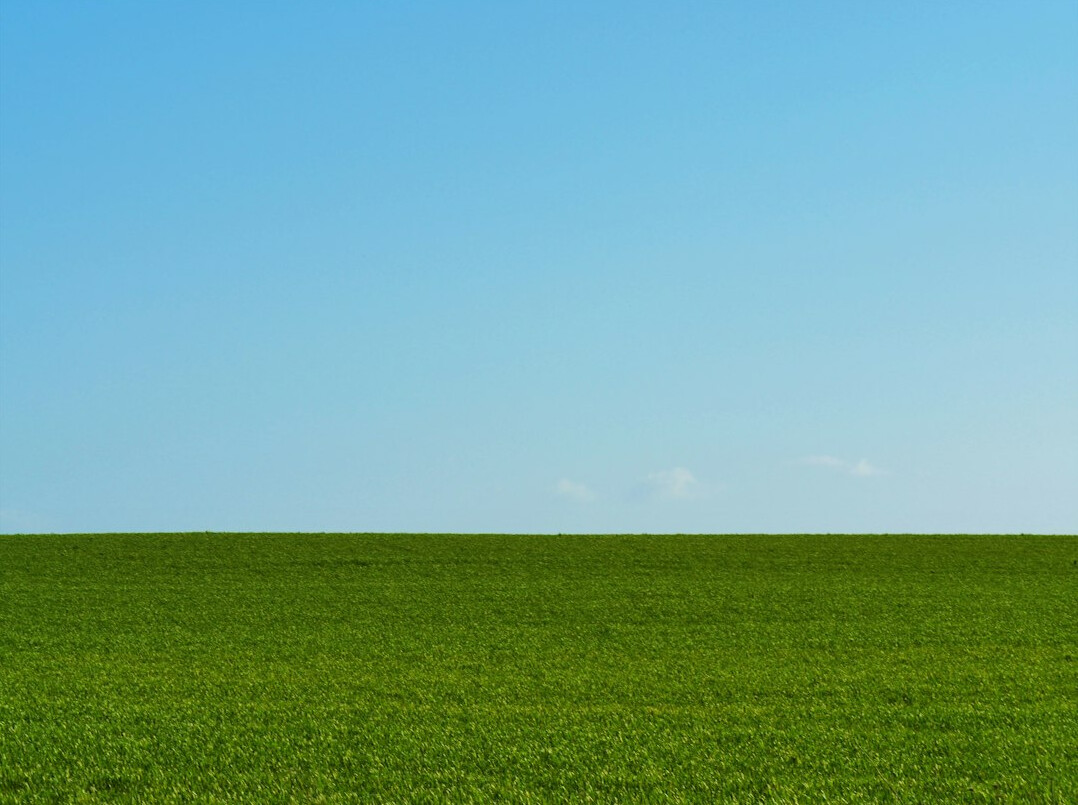 Peaceful green field under a soft sky